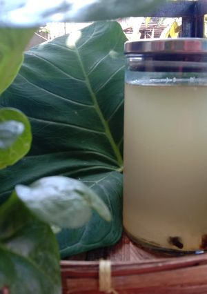 Foto resep Water Kefir (Basic)