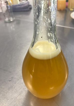 Una foto de Licor de naranja