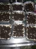 Postre de tres leches