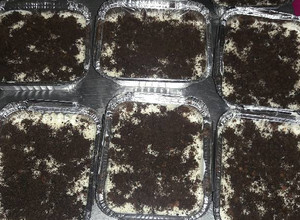 Una foto de Postre de tres leches
