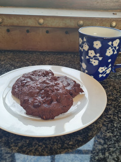 A picture of Flourless Fudge Cookies.