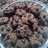 Good Time Home Made