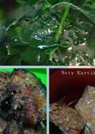 16 resep masakan indonesia sayuran mangut enak dan ...