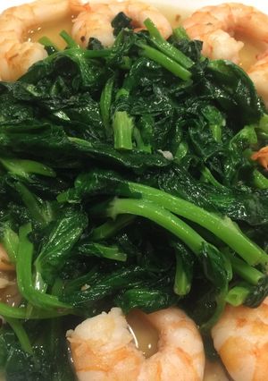 豆苗蝦仁 的食譜成品照片