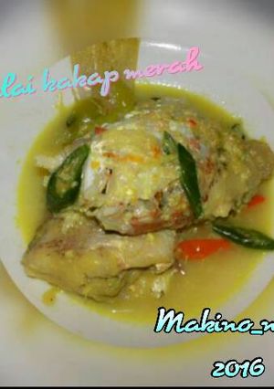 Foto resep Gulai Ikan Kakap Merah