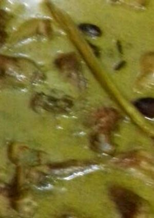 Foto resep Opor ayam tempo dulu