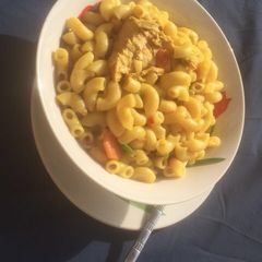 A picture of Jollop macroni.