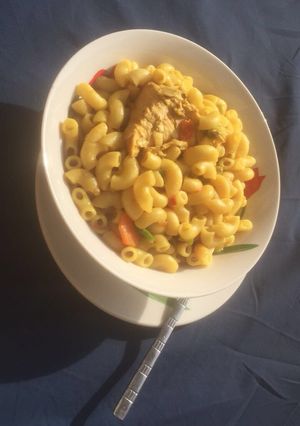 A picture of Jollop macroni.