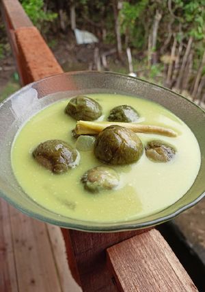 Foto resep Lodeh terung bulat