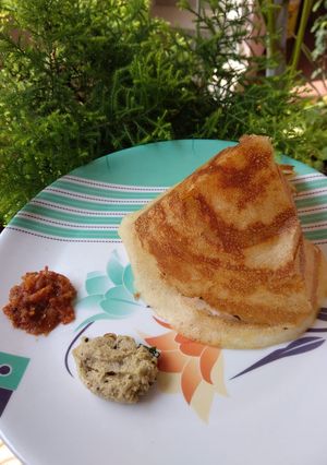 A picture of Crispy plain dosa.