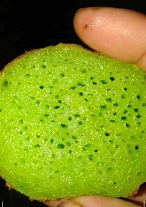 Foto resep Bika Ambon pandan mini