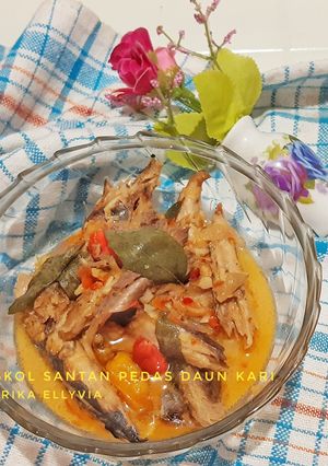 Foto resep Tongkol santan pedas daun kari