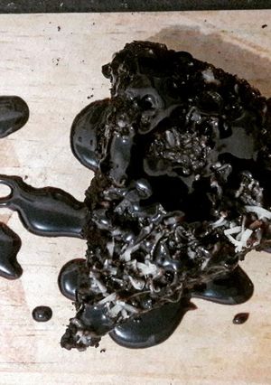 Foto resep Oat Dark Chocolate Brownies (Magic Com)