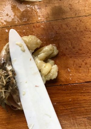A picture of Garlic in the microwave.
