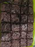 Brownie con cacao