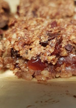 A picture of Cacao cranberry flapjack bites.