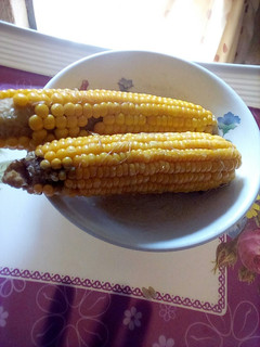 A picture of Boiled corn.