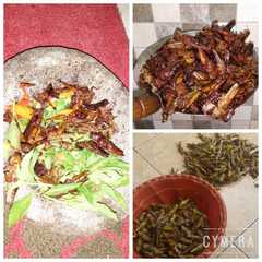 A picture of Belalang Geprek Sambel Korek.