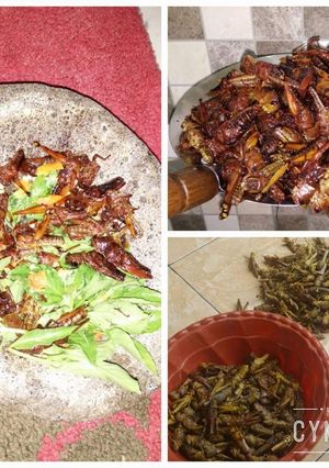 Foto resep Belalang Geprek Sambel Korek