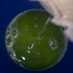 Cucumber Ginger juice A picture of Cucumber Ginger juice.