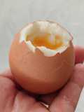 Huevo a la Copa en la Cáscara! 🥚🤩