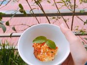 Hình ảnh của bánh khoai tây nghiền korokke