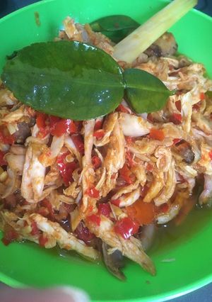 Foto resep Ayam suwir bumbu bali