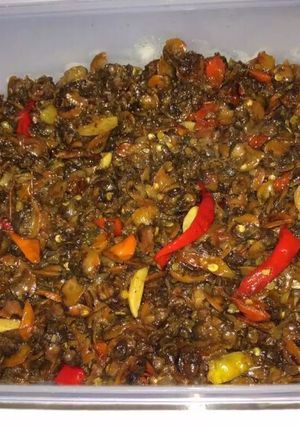 Foto resep Oseng tudai pedas