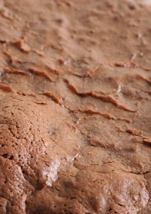 Une photo de Le fondant au chocolat et aux noisettes !