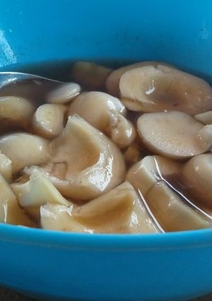 Foto resep Asinan salak