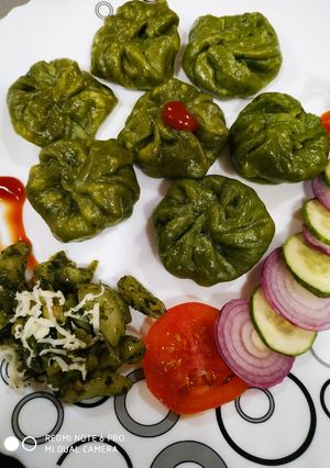 A picture of Spinach Momos.