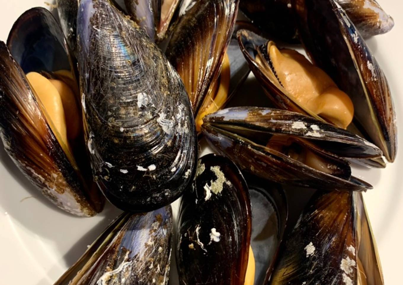 Mejillones al vapor (MCC)
