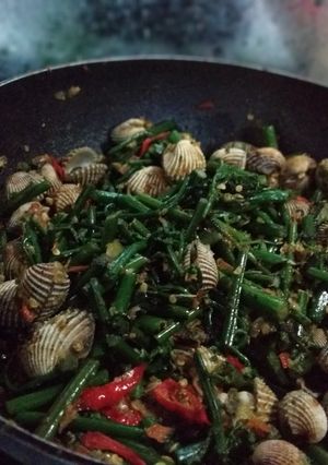 Foto resep Tuker Pak Pedes (Tumis Kerang Pakis Pedes)