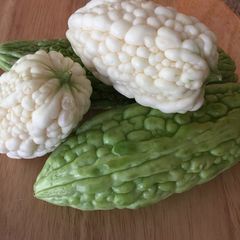 A picture of Bitter Melon (Ampalaya).