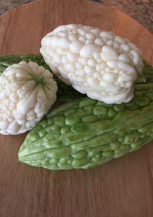 A picture of Bitter Melon (Ampalaya).
