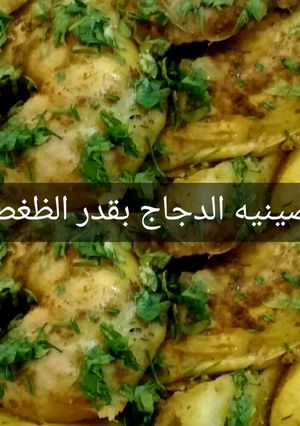 صورة لوصفة صينيه الدجاج سريعه بقدر الضغط