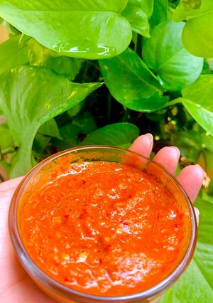 A picture of Tomato Garlic Chutney.