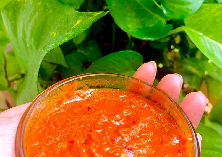 Recipe of Favorite Tomato Garlic Chutney