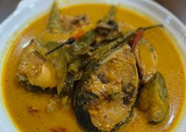 Gulai Lemak Ikan Aya/tongkol
