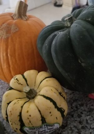 A picture of Savory Squash Bowls.