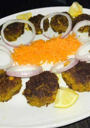A picture of Mutton Shami kabab.