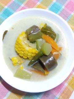 Foto resep Sayur Lodeh Udang Rebon