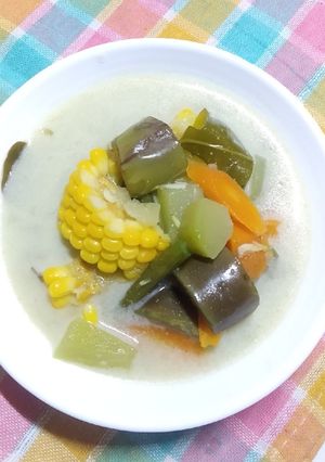 Foto resep Sayur Lodeh Udang Rebon