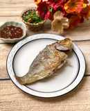 Cá Đỏ Mép Chiên Xù