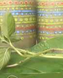 Chayote, Hierba santa y Sábila Batido