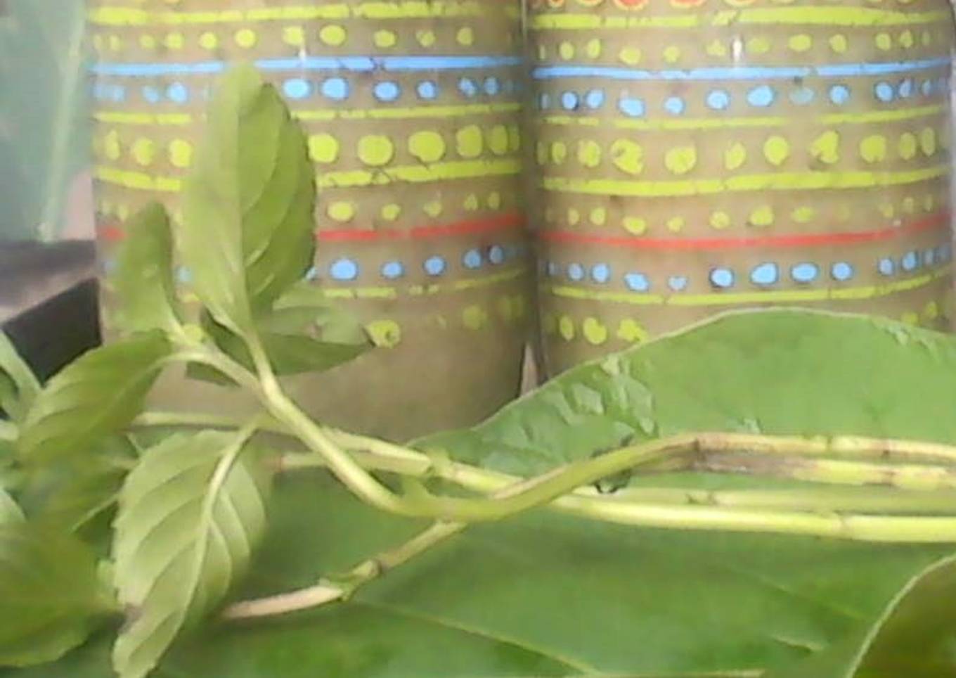 Chayote, Hierba santa y Sábila Batido