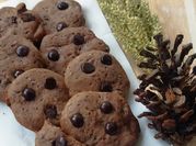 Gambar choco chips cookies tanpa oven