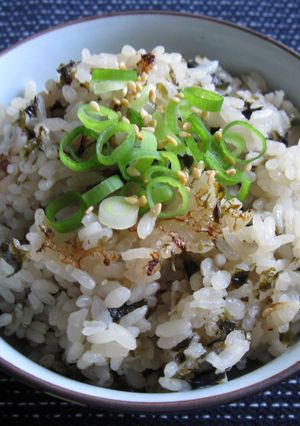 A picture of Nori Takikomi Gohan.