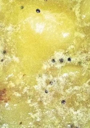 আমের  চাটনি (aamer chatni recipe in Bengali) রেসিপির প্রধান ছবি