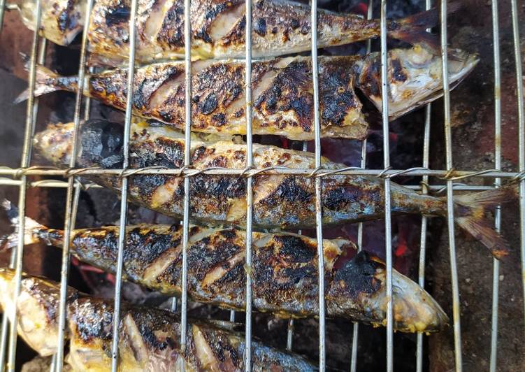 makanan Ikan layang bakar Anti Gagal